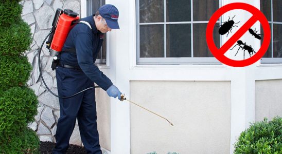 Samandağ Karınca İlaçlama böcek ilaçlama ve haşere kontrolü — ilaclama-tr.com